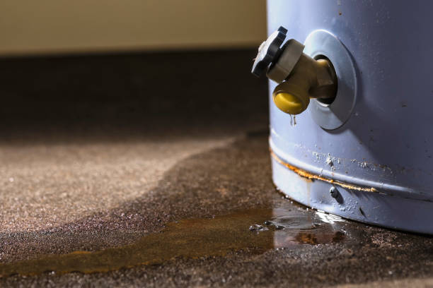 Best 24/7 water damage repair  in Rancho Alegre, TX