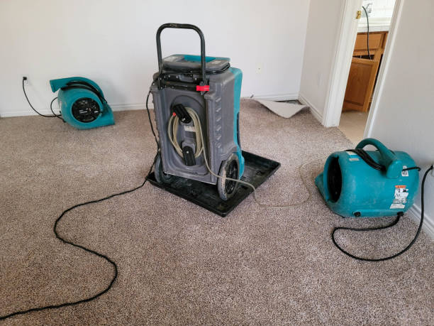 Best Ceiling water damage repair  in Rancho Alegre, TX