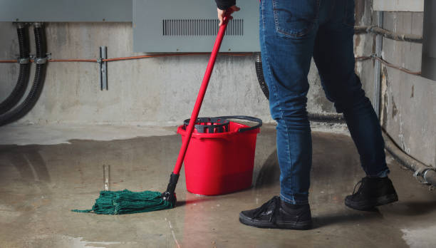 Best Fire Damage Restoration  in Rancho Alegre, TX