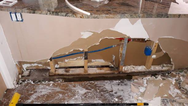 Best Water damage restoration specialists  in Rancho Alegre, TX