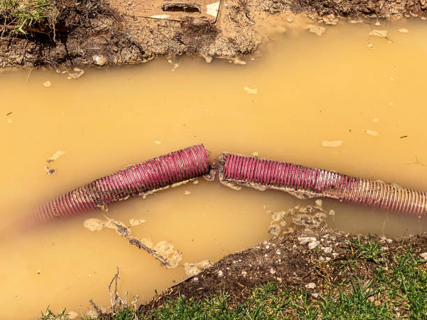  Rancho Alegre, TX Water damage restoration Pros
