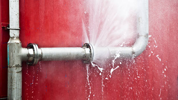 Best Flood restoration services  in Rancho Alegre, TX